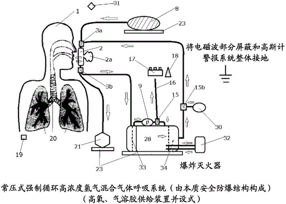 Hydrogen-rich gas mixture breathing system