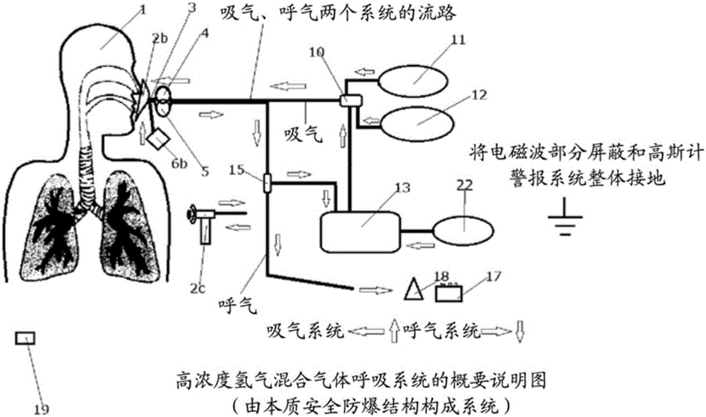 Hydrogen-rich gas mixture breathing system