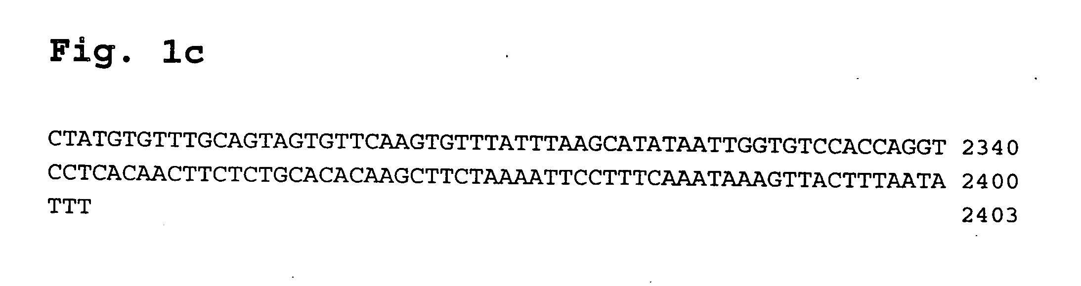 Human RPS6KA6-related gene variant associated with lung cancers