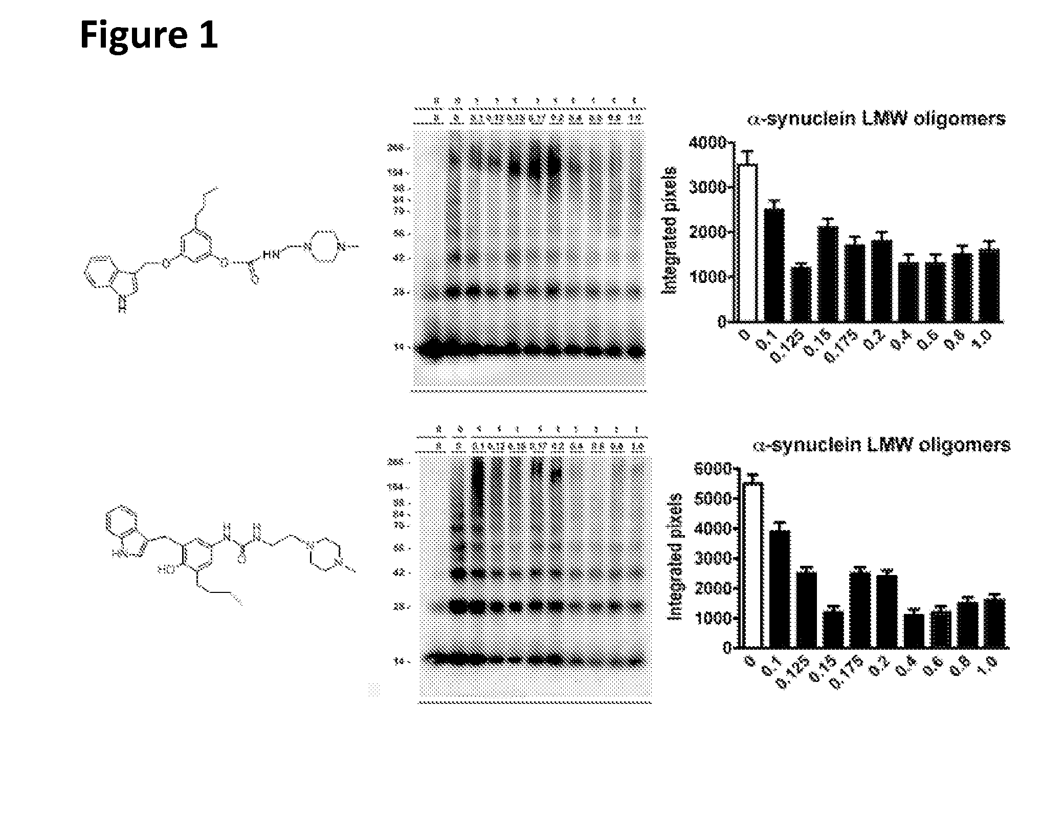 Phenyl-urea and phenyl-carbamate derivatives as inhibitors of protein aggregation