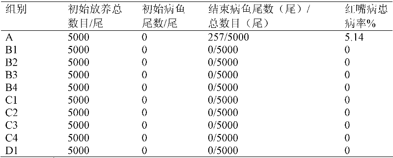 Application of photosynthetic bacterium and bacillus subtilis mixed bacterial liquid in preparing microbial inoculum for preventing and controlling red mouth disease of turbot