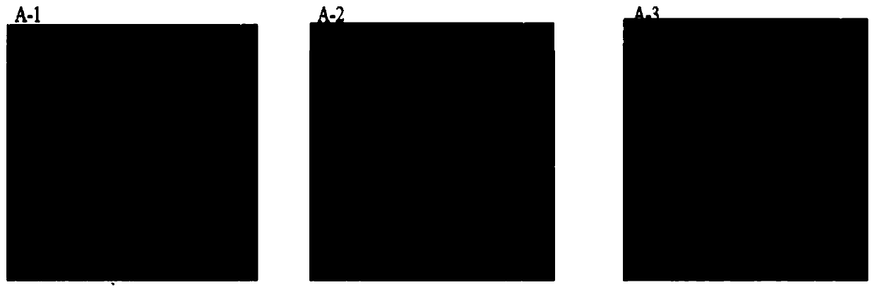 Anti-biological pollution composite membrane modified by using quinolone signal molecule inhibitor and preparation method thereof