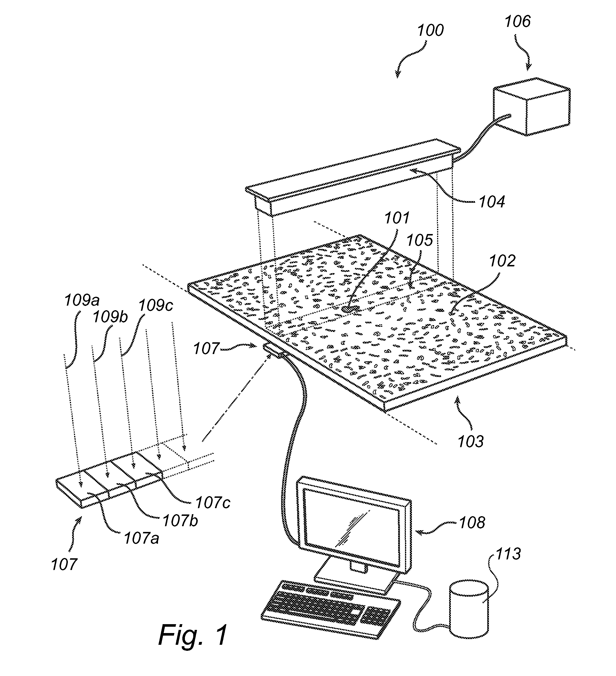 Method and apparatus for estimating the ash content of a biological material