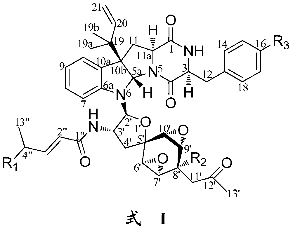 Indoline diketopiperazine spiro-compounds as well as preparation method and use thereof