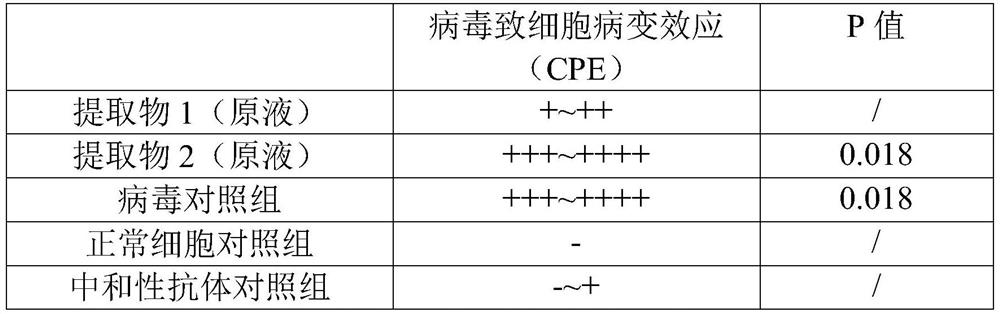 A kind of Cyclocarya paliurus extract and its application in the preparation of anti-coronavirus medicine