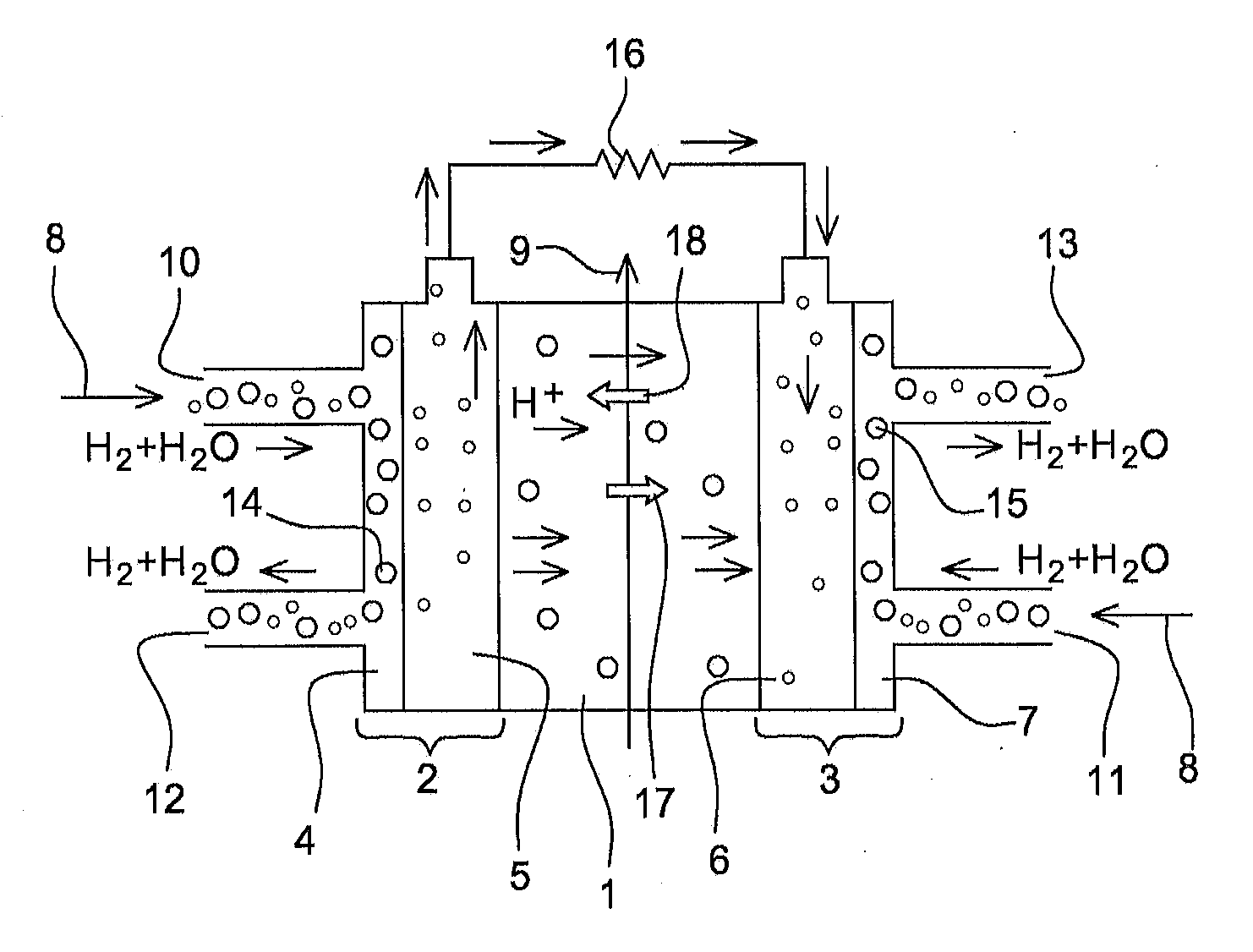 Method of measuring the electroosmotic transport coefficient of a proton exchange membrane and device for implementing such a method