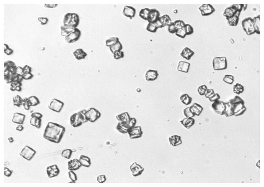 Method for regulating and controlling crystal form of lysozyme by using ionic liquid