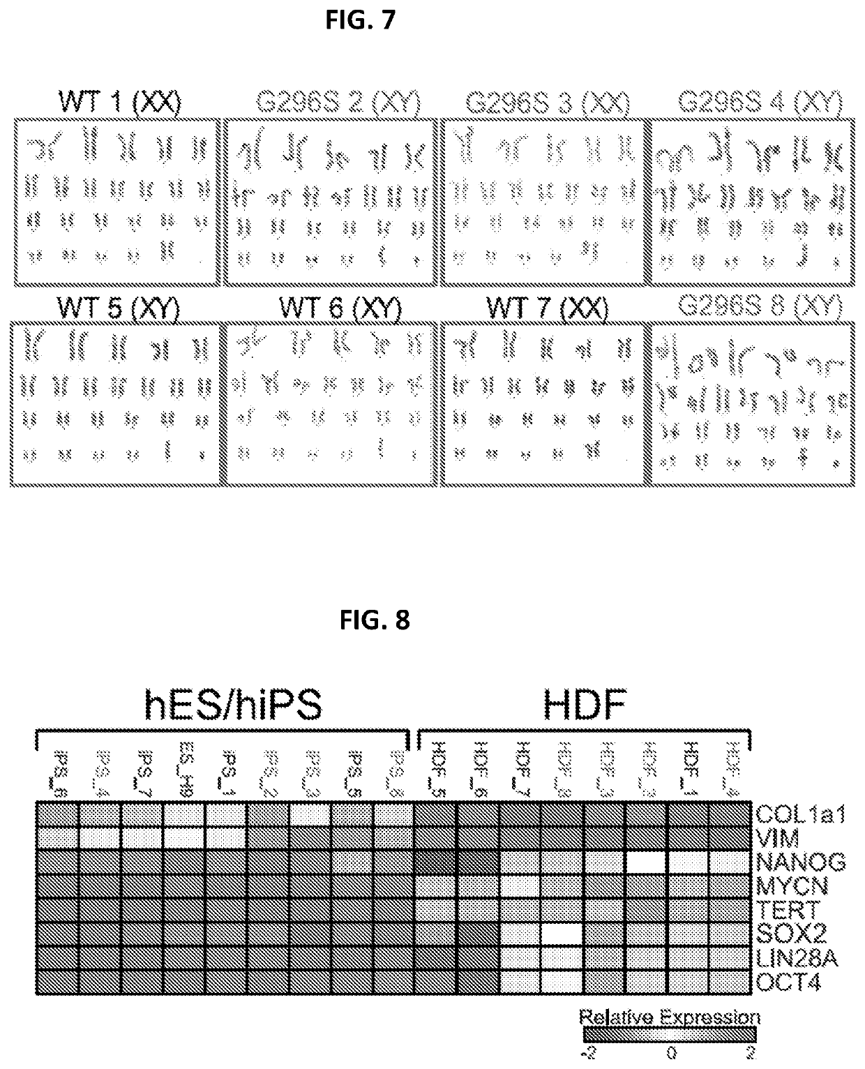 Engineered cardiomyocytes and uses threof