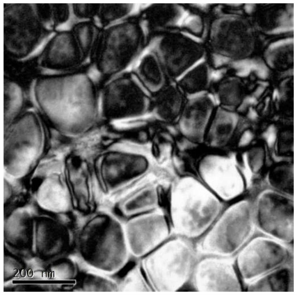 A kind of non-equiatomic ratio medium/high entropy alloy containing nicocr and preparation method thereof