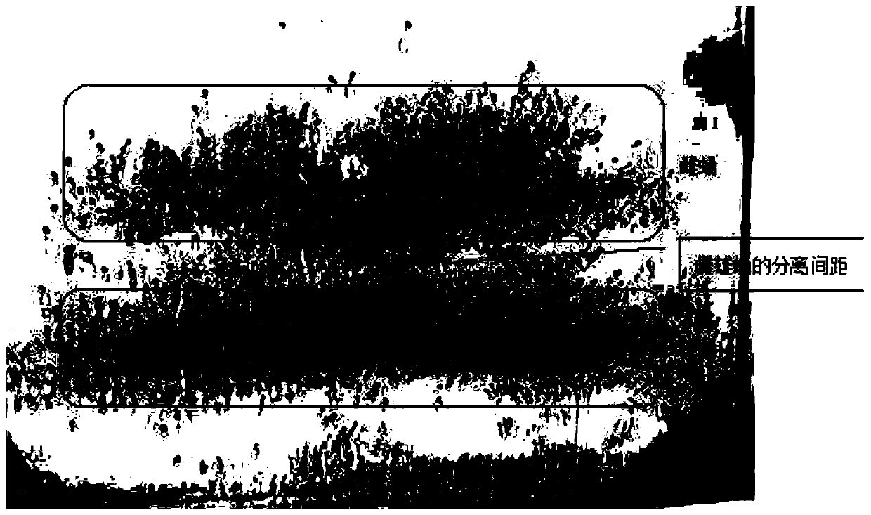 A kind of standardized feeding method of Aedes albopictus larvae