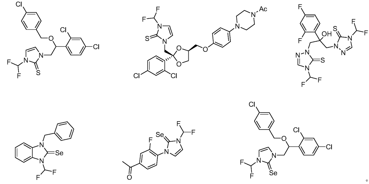 N-difluoromethylazole sulfur (selenium) urea derivative and preparation method thereof