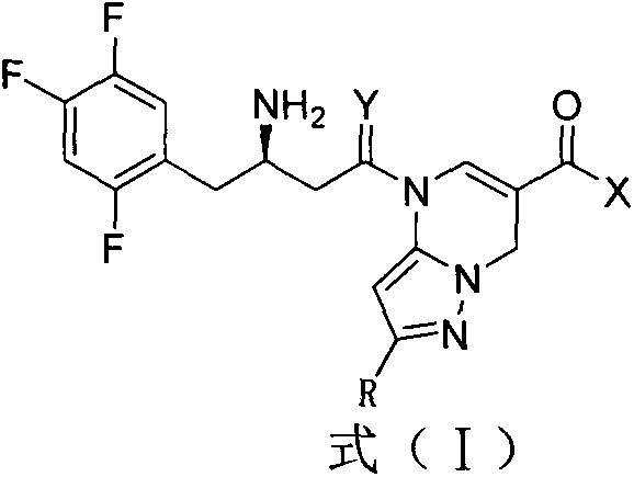 DPP-4 inhibitor with diazine structure