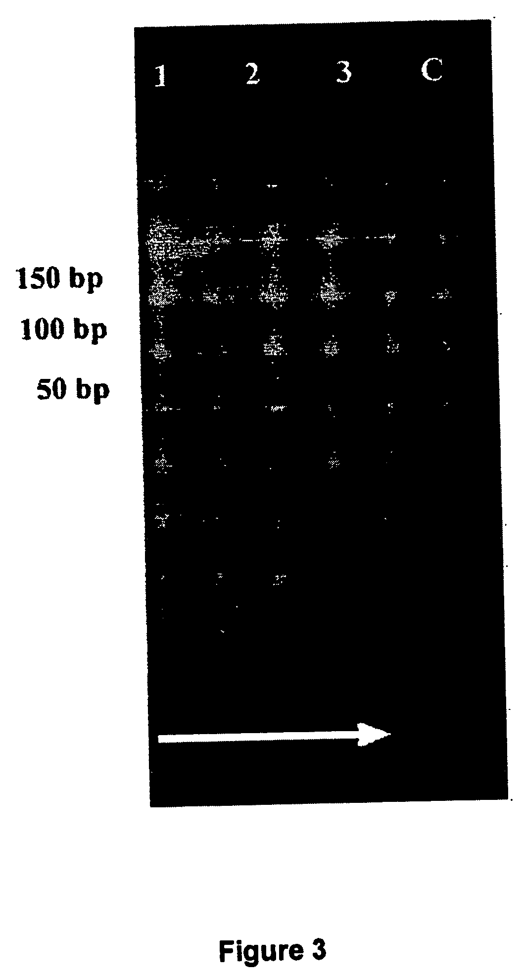Methods for identifying and isolating unique nucleic acid sequences