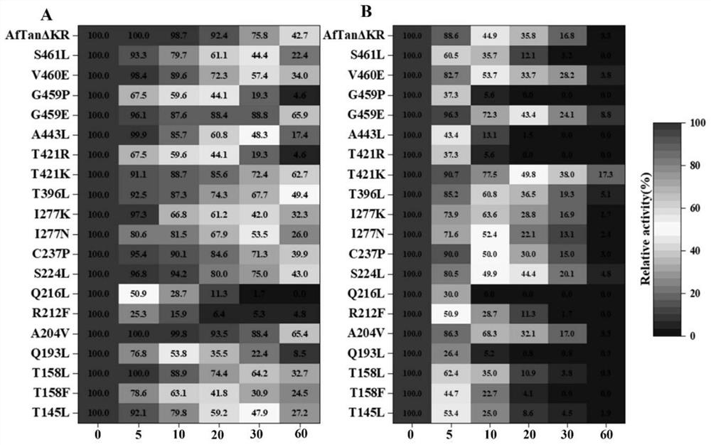 Tannase AfTan2.0 mutant and application thereof