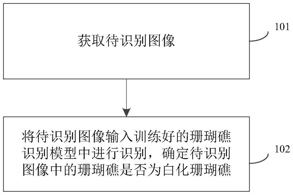 Coral reef whitening automatic recognition method and system