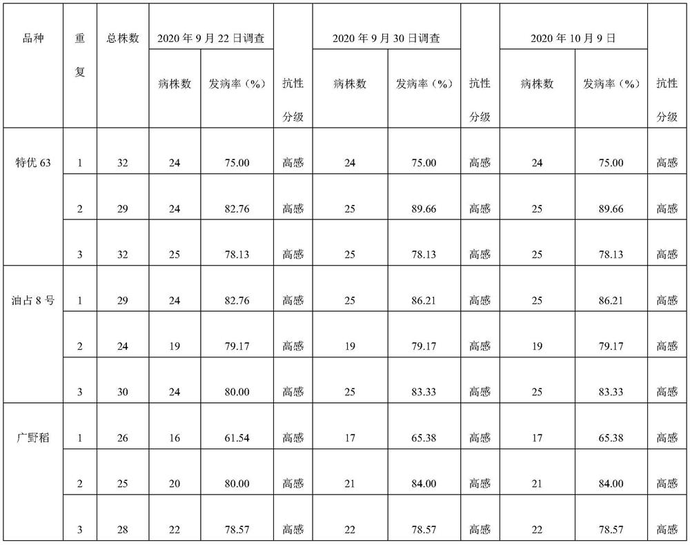 Method for evaluating resistance of rice variety to rice dwarf virus based on artificial inoculation