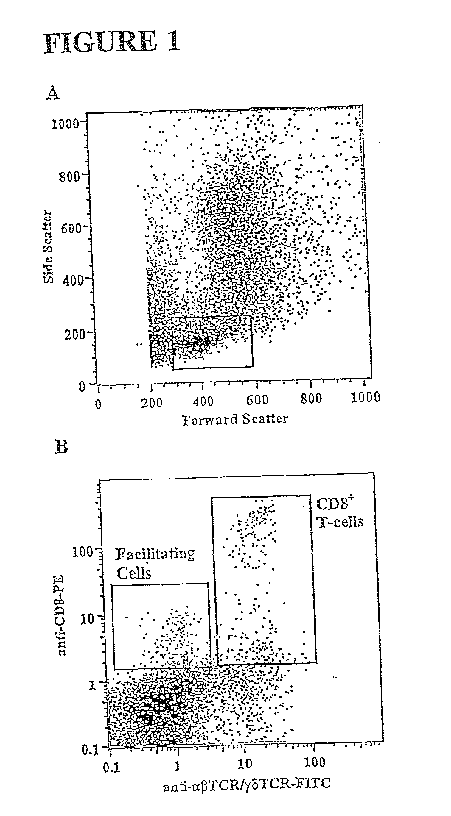 Methods for mobilizing hematopoietic facilitating cells and hematopoietic stem cells into the peripheral blood