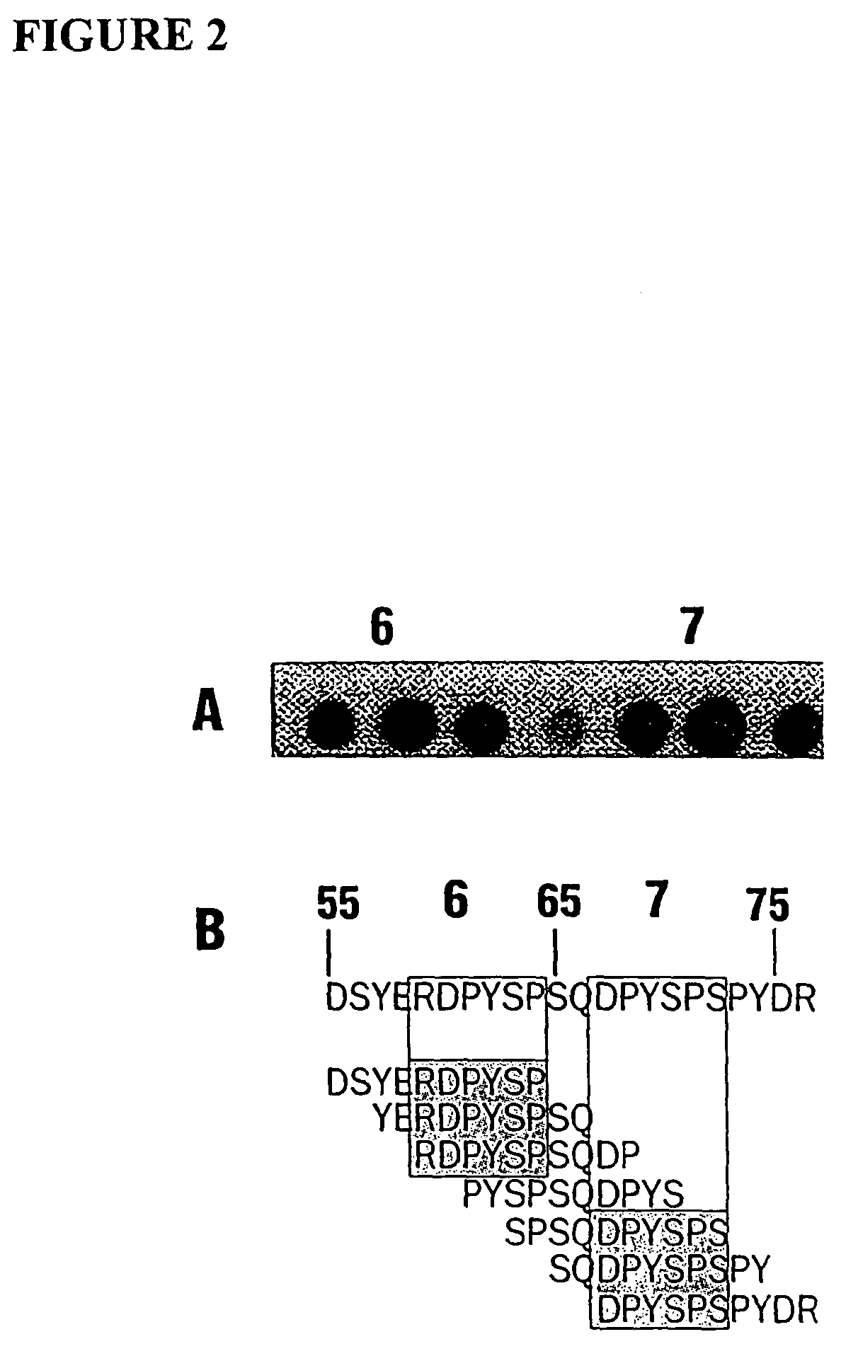 Methods and reagents for decreasing clinical reaction to allergy
