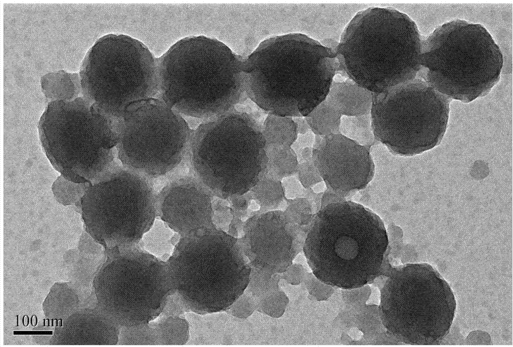 Iridium complex organic fluorescent nanoparticles and preparation method thereof