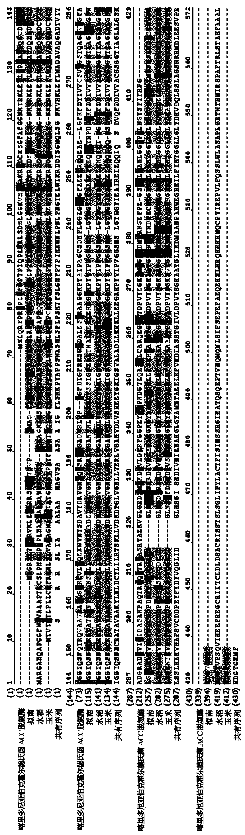 Method for improving drought enduring capacity of plants