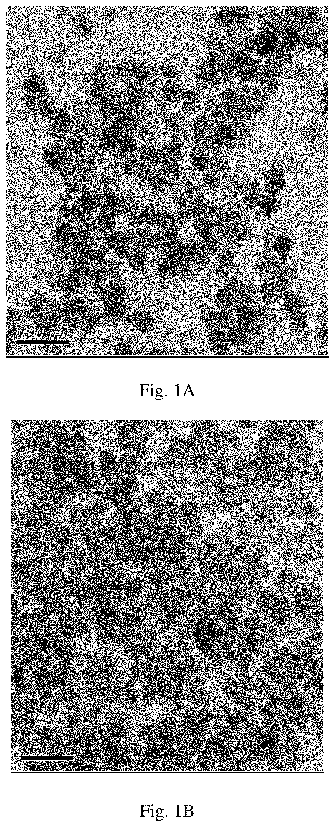 Surface-modified mesoporous silica nanoparticle for blood-brain barrier penetration,tumor targeting and cancer  metastasis treatment, methods of production and uses thereof