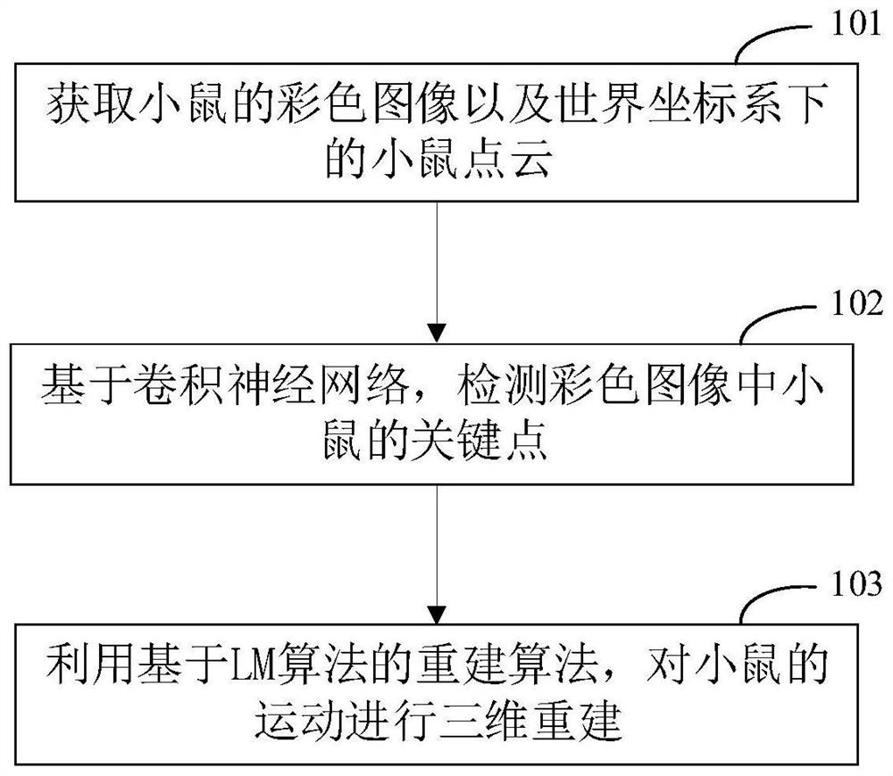 Mouse motion reconstruction method and device based on multi-view camera