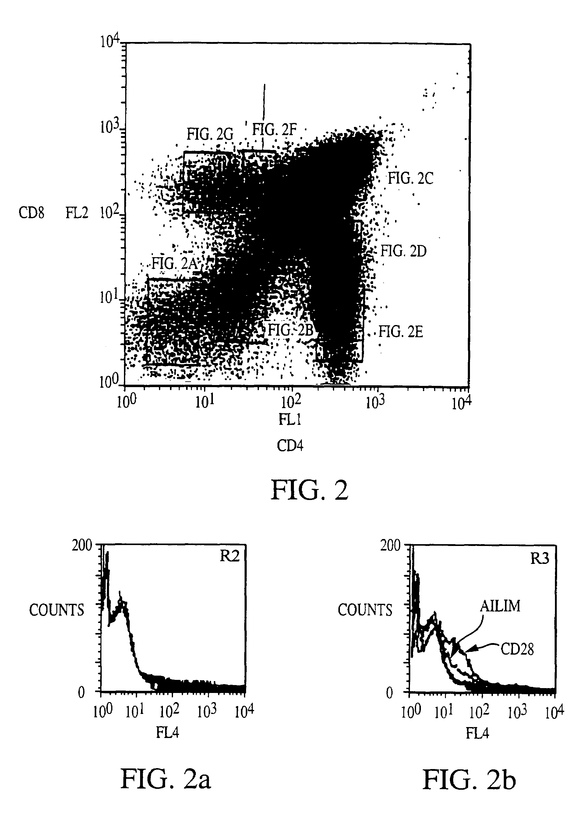 Methods of preventing or treating graft versus host reaction by administering an antibody or portion thereof that binds to AILIM
