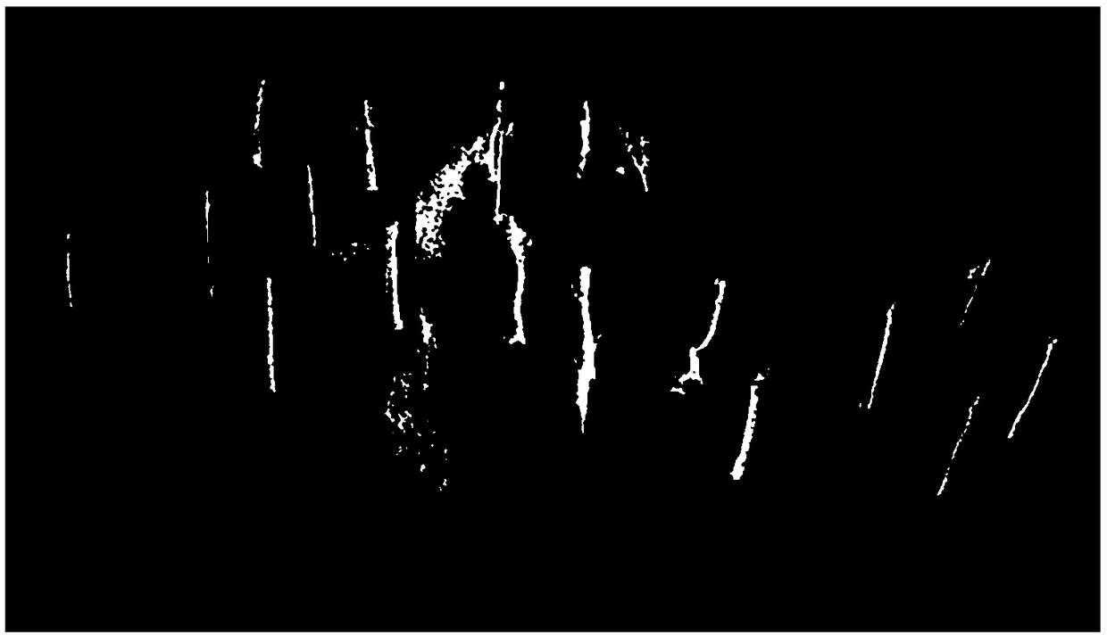 Automatic calculation method of tree breast diameter based on voxel growth and ground laser point cloud