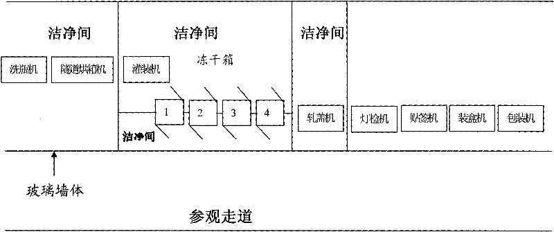 Continuous production process for freeze-dried preparation