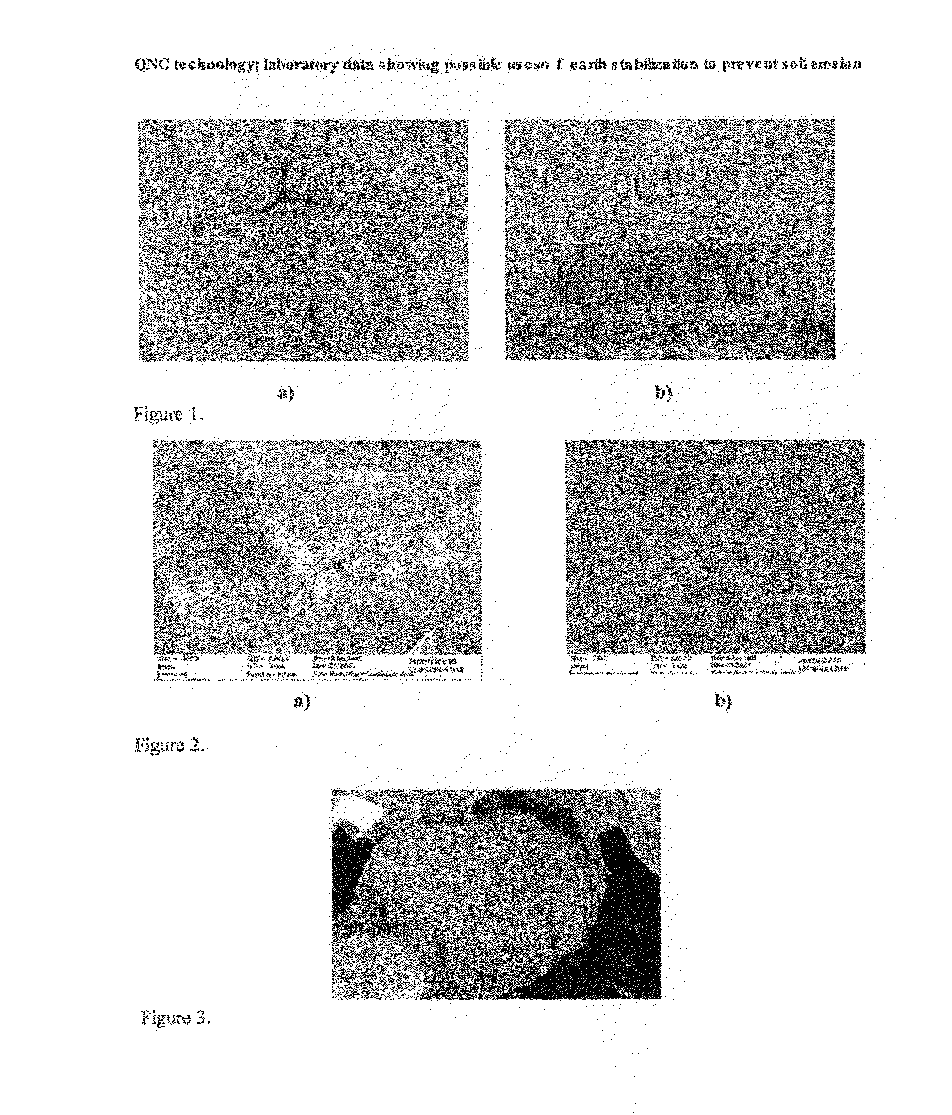 Method and Composition for Stabilizing Earth and Sand to Prevent Soil Erosion