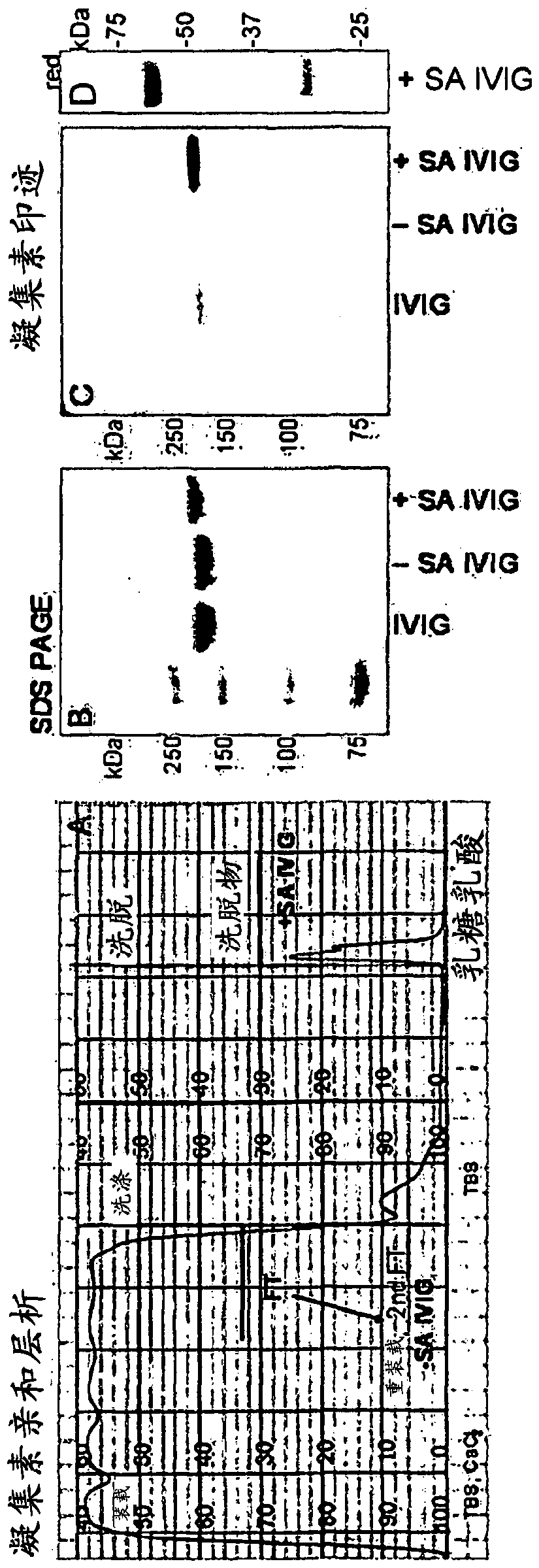 Antibody compositions with altered fab sialylation