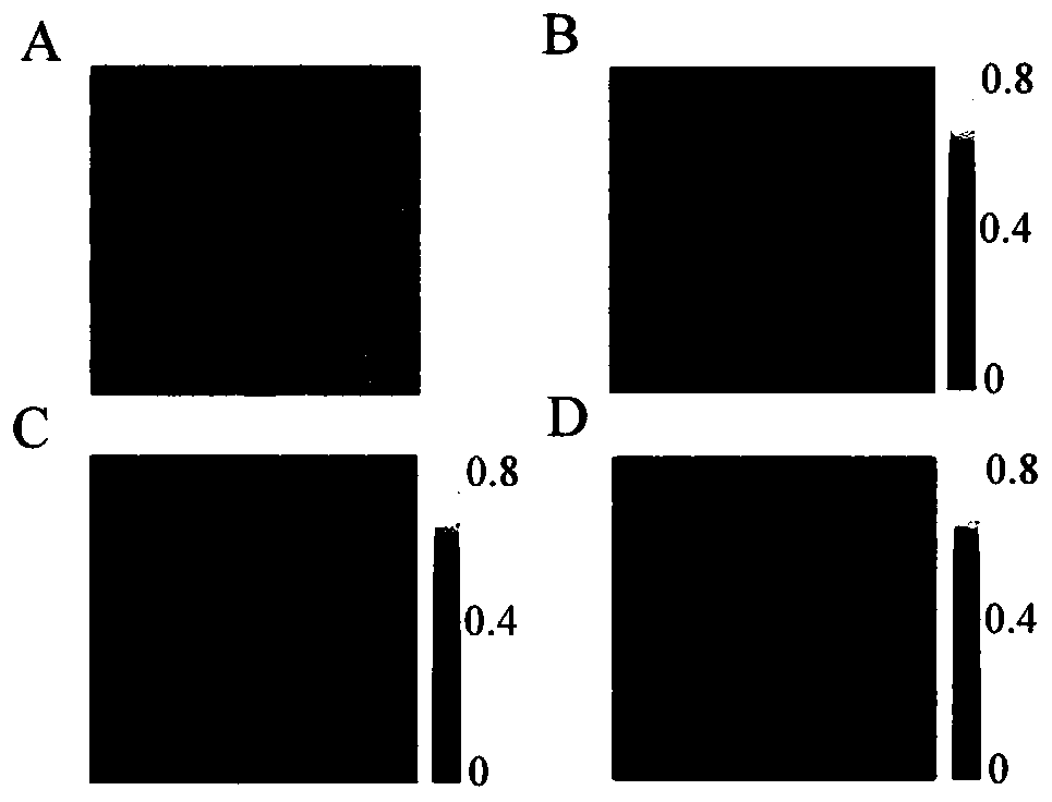 Blood flow velocity monitoring method based on micro blood flow imaging contrast algorithm