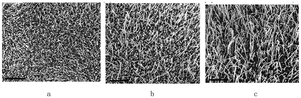 Carbon-based binderless composite material as well as preparation method and application thereof