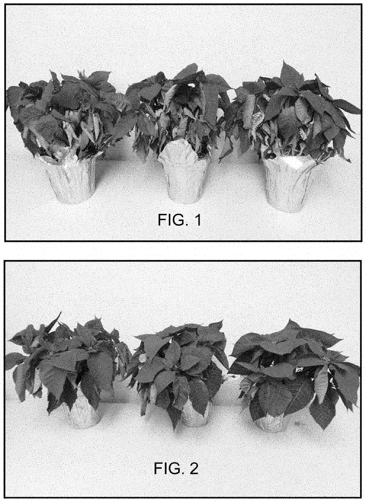 Compositions and methods for improving the drought tolerance of plants