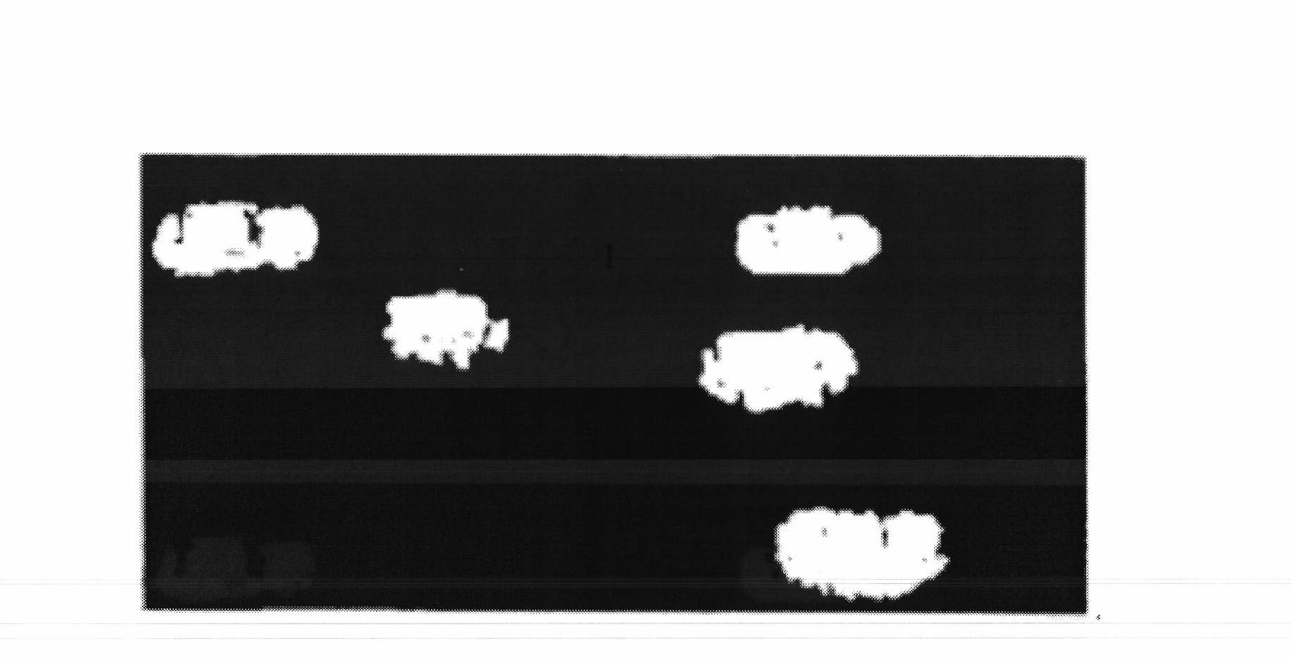 Internet of things electric automobile charging station system based on image identification of rough set neural network