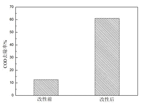 Biomass-modified adsorbent for adsorbing coking wastewater, and preparation method and application thereof