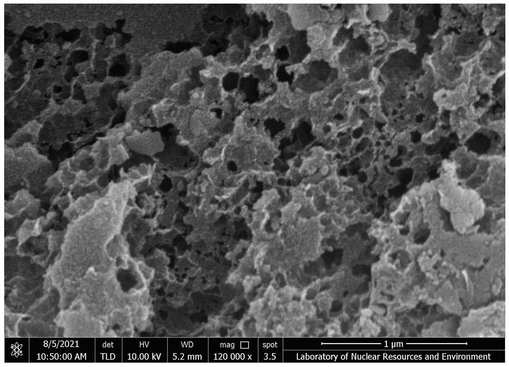 High-sensitivity electrochemical sensor for detecting copper ions and application thereof