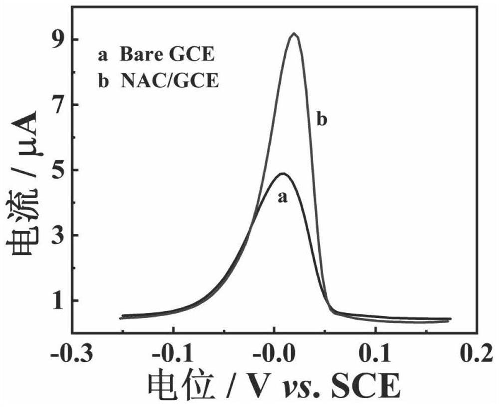 High-sensitivity electrochemical sensor for detecting copper ions and application thereof