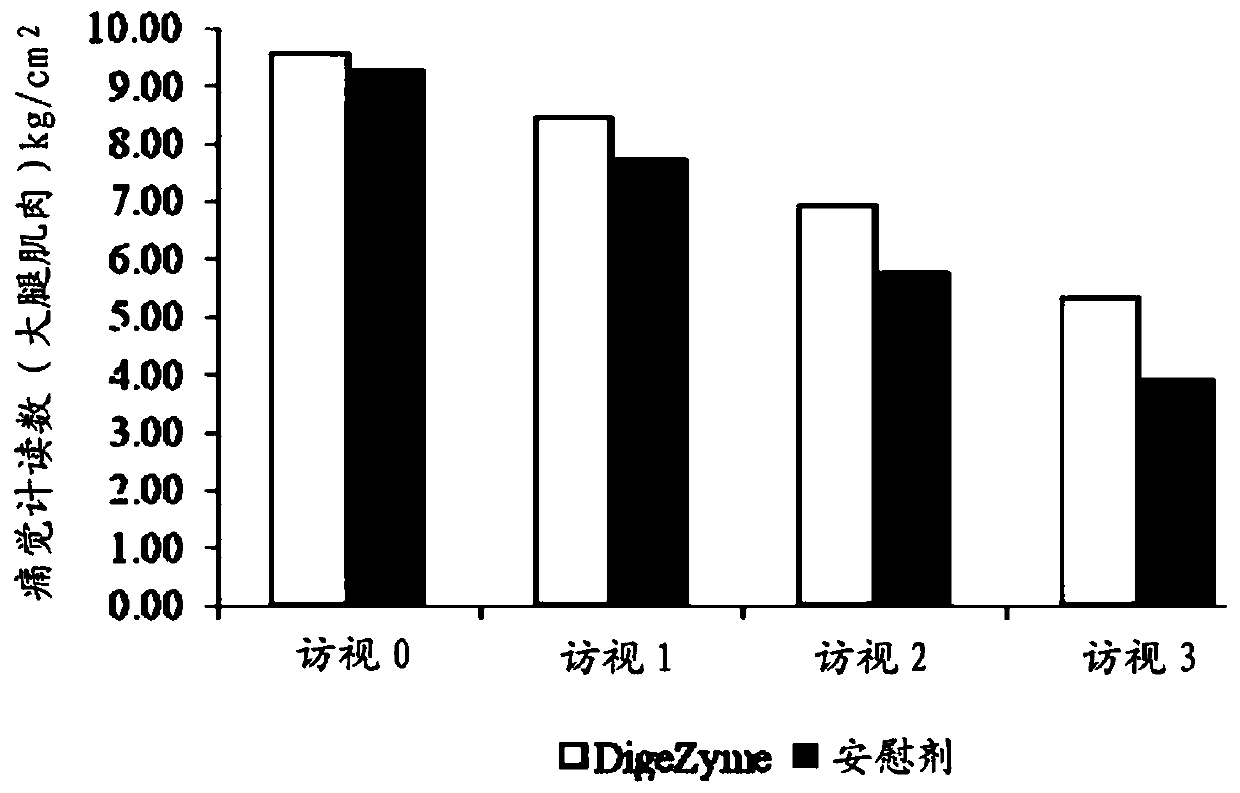 Enzyme composition for therapeutic management of muscle soreness