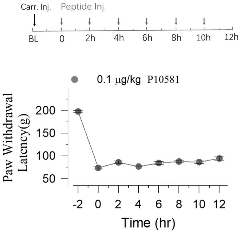 Application of a short peptide in the preparation of products capable of eliminating morphine tolerance