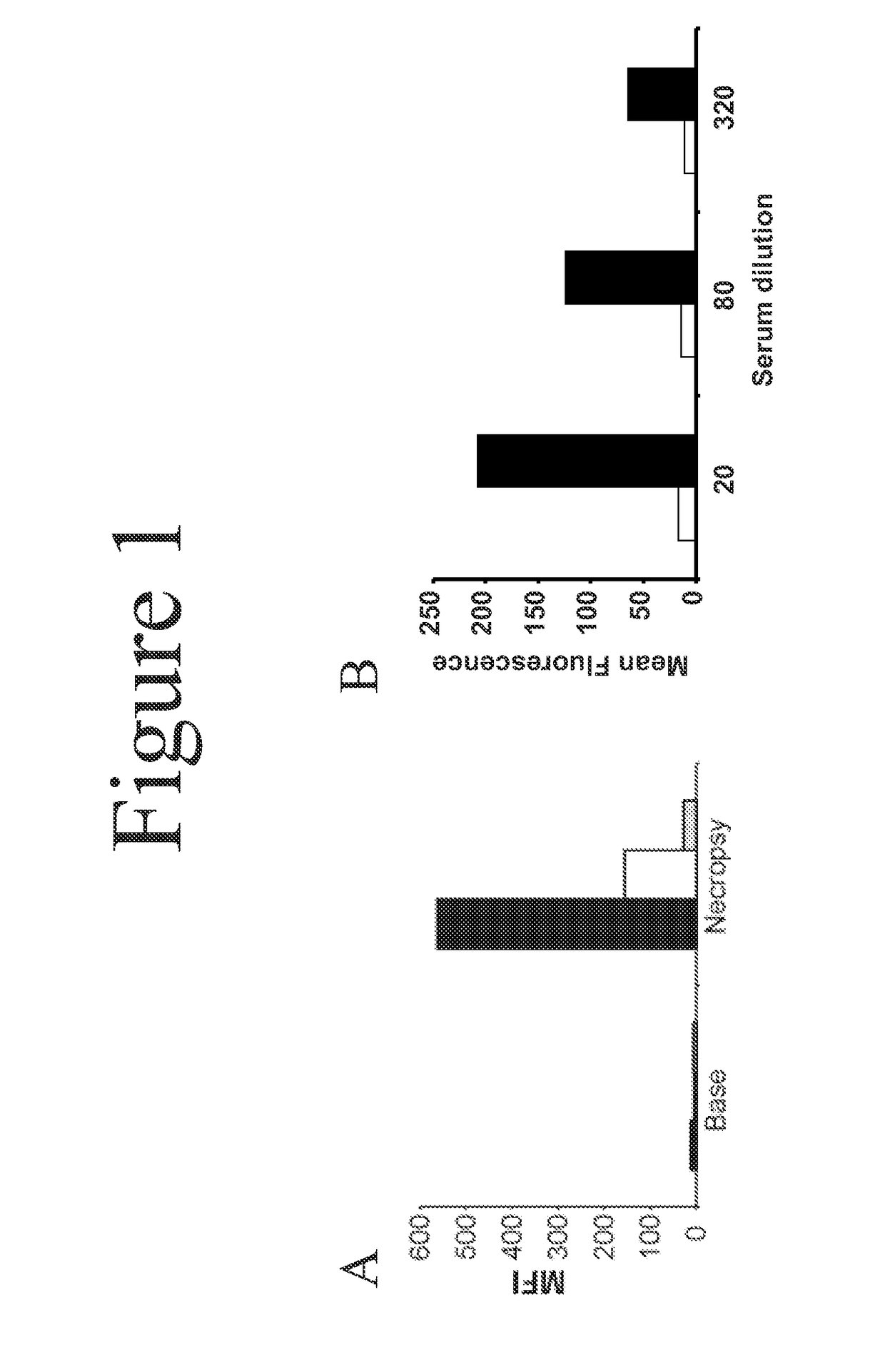 Implantation of a cardiac xenograft from a B4GALNT2KO and GTKO transgenic pig to reduce immunogenicity