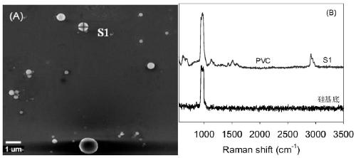 Method for identifying nano plastic particles in aqueous solution based on scanning electron microscope-Raman technology