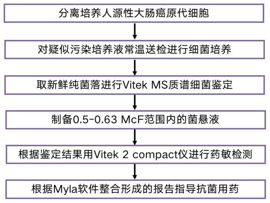 Method for culturing human primary cells