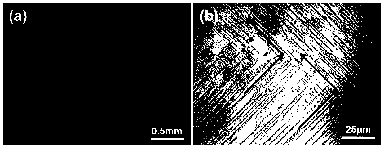 A quasi-continuous laser metal 3D printing method to realize the crystallographic texture control of nickel-based alloys