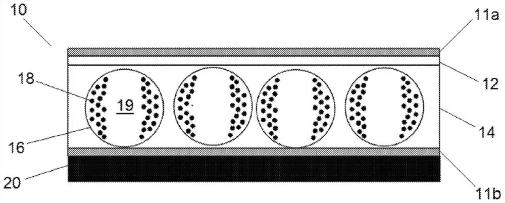 Composite electrophoretic particles and variable transmission films containing same