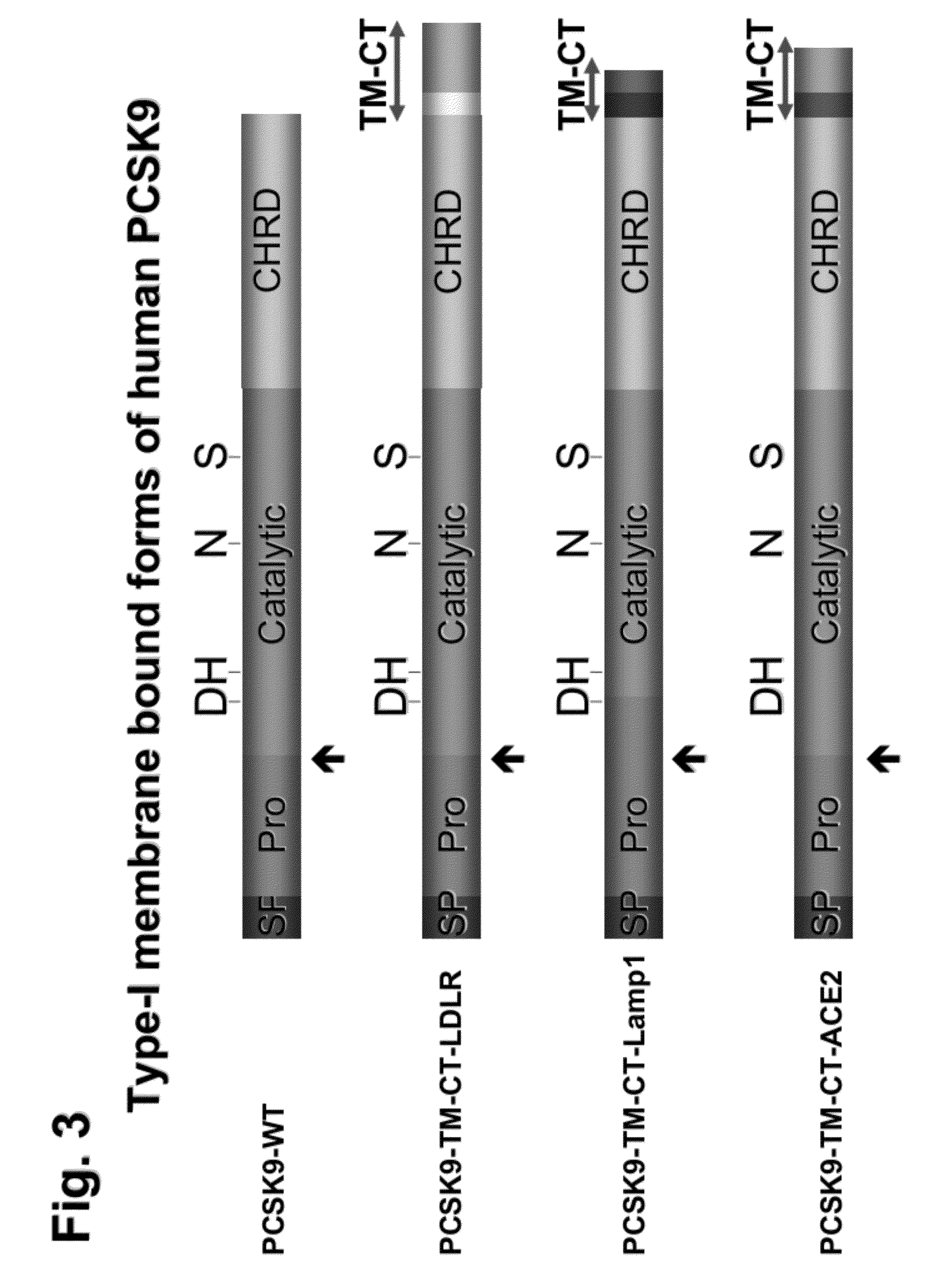 Chimeric pcsk9 proteins, cells comprising same, and assays using same