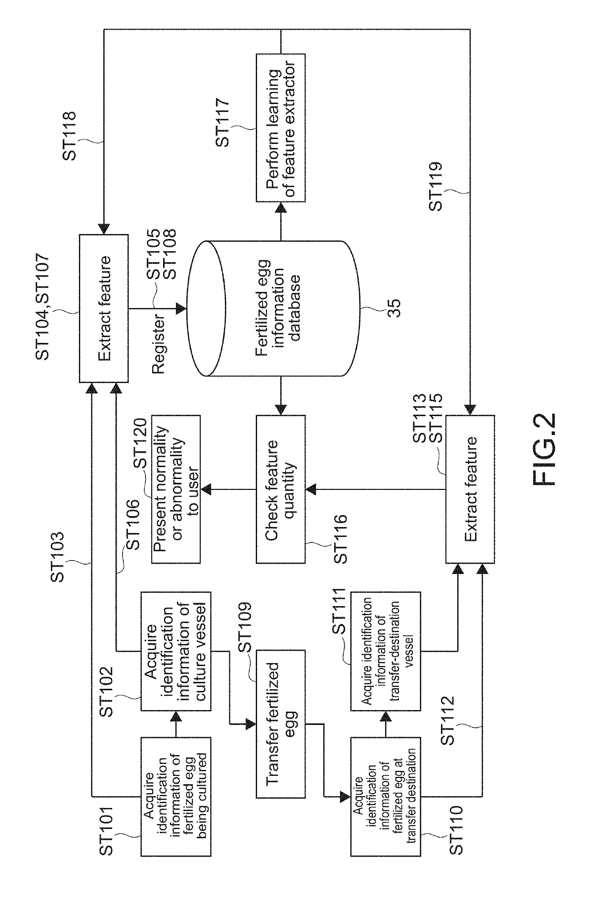 Information processing apparatus, information processing method, and program