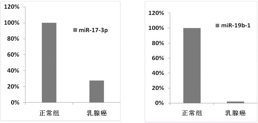 MiRNA-17-3p and miRNA-19b-1 combination and application thereof