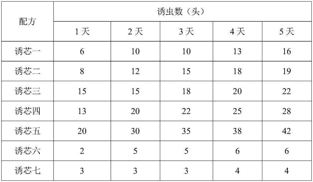 Jaapiella sp. attractant composition, lure and application