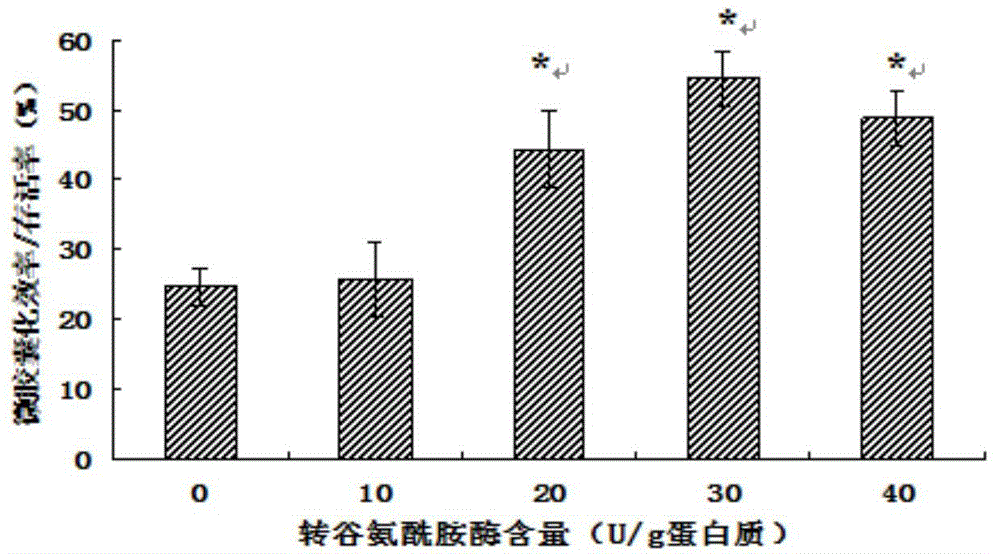 Method for protecting lactobacillus by soy isolate protein obtained through transglutaminase crosslinking